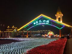 -南通鲜花小镇