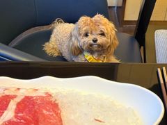 -西安浐灞艾美酒店·汉江餐厅·火锅