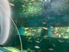 -北国之春国宴(乌兰察布店)