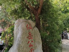 -仙岳公园