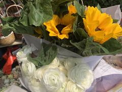 -桂林市花鸟市场