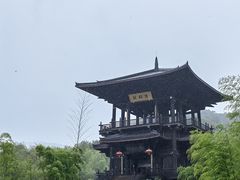 -大唐贡茶院