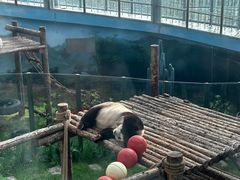 -大连森林动物园