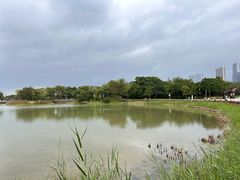 -福田红树林生态公园