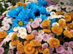 -花邻FloweringLife花艺气球派对(武康大楼店)