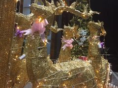 -水晶之星洗浴温泉汗蒸