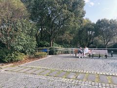 -吴淞炮台湾湿地森林公园烧烤区