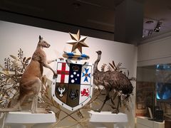 -墨尔本博物馆(Melbourne Museum)