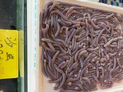 -顺德了能馆(虎门店)