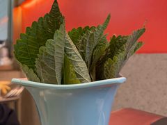 -揽月斋炙子烤肉·清真(安定门·五道营店)