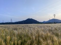 -李东农庄(中南百草园地标店)