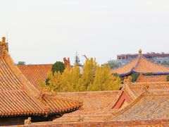 -故宫博物院(故宫)