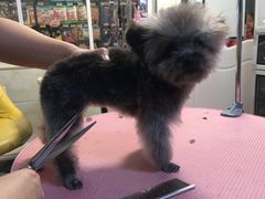 -喵汪宠物生活馆(涞坊路店)