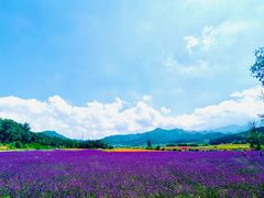 -百里山水画廊
