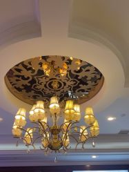 -南京医科大学友谊整形外科医院