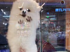 -FAELING PETS美天灵宠物(富力广场店)