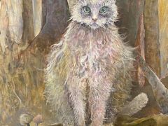 -金泽21世纪美术馆