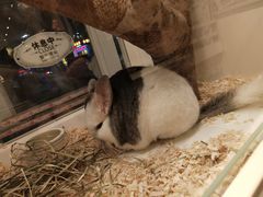 -龙猫仔乐园(惠福东路店)