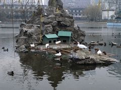 -团结湖公园