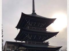 -医王山·飞騨国分寺