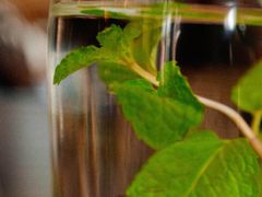 -Common Table · Brunch & Coffee