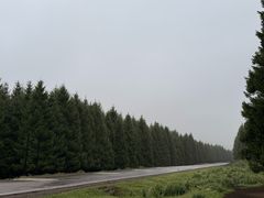 -新疆那拉提国家旅游度假区