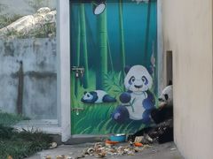 -西安秦岭野生动物园