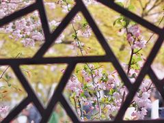-莫愁湖公园