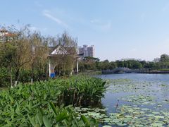 -映月湖公园