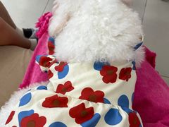 -怪兽屋·羊驼·猫咖·狗咖(俊华广场店)