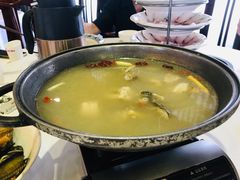 东江脆脘鱼-天怡·鱼工厂(临江店)