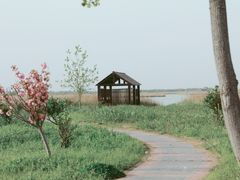 -盐城丹顶鹤湿地生态旅游区