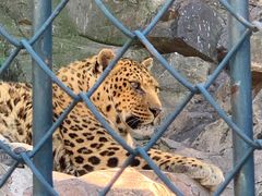 -大连森林动物园