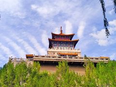 -趵突泉景区