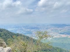 -紫金山山顶公园