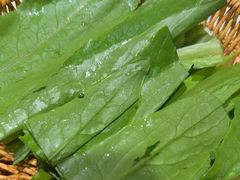 -东道煮牛肉火锅(东盛大街店)