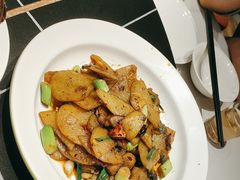 -新概念来凤鱼(璧山店)