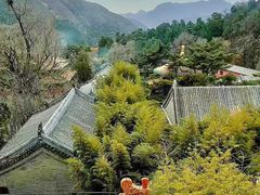 -潭柘寺景区