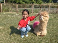 -杭州开元森泊度假乐园