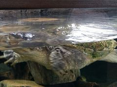 android_upload_pic-河川生态园