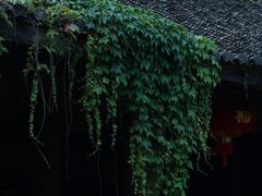 -许家山
