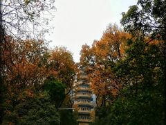 -灵谷景区