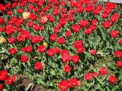 -长春公园(普阳街道)