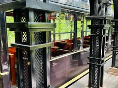 -合肥滨湖国家森林公园