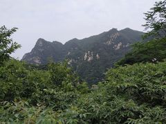 -阿瓦山寨·湘菜现炒·剁椒鱼头王(咸阳总店)