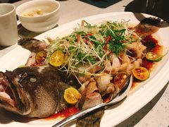 -T館·花园艺术餐厅