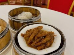 XO酱蒸凤爪-凤凰楼酒家·粤宴点心(华强北店)
