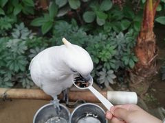 -南宫五洲植物乐园