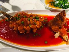 松鼠大桂鱼-绿波廊(豫园店)