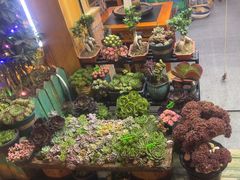 -老姐石板烧烤+铜炭火锅(总店)